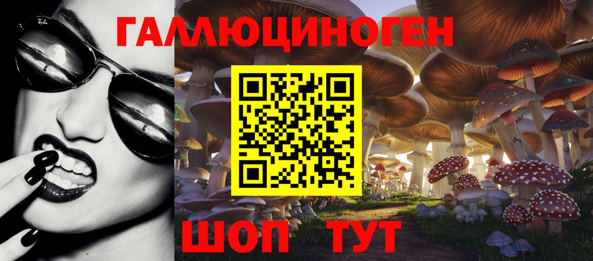 Галлюциногенные грибы Psilocybe Дзержинск