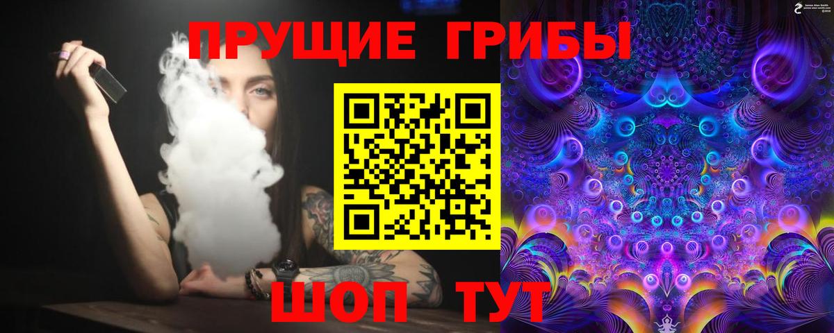 Дзержинск  Псилоцибиновые грибы мухоморы  где купить наркотик  Вход с VPN 